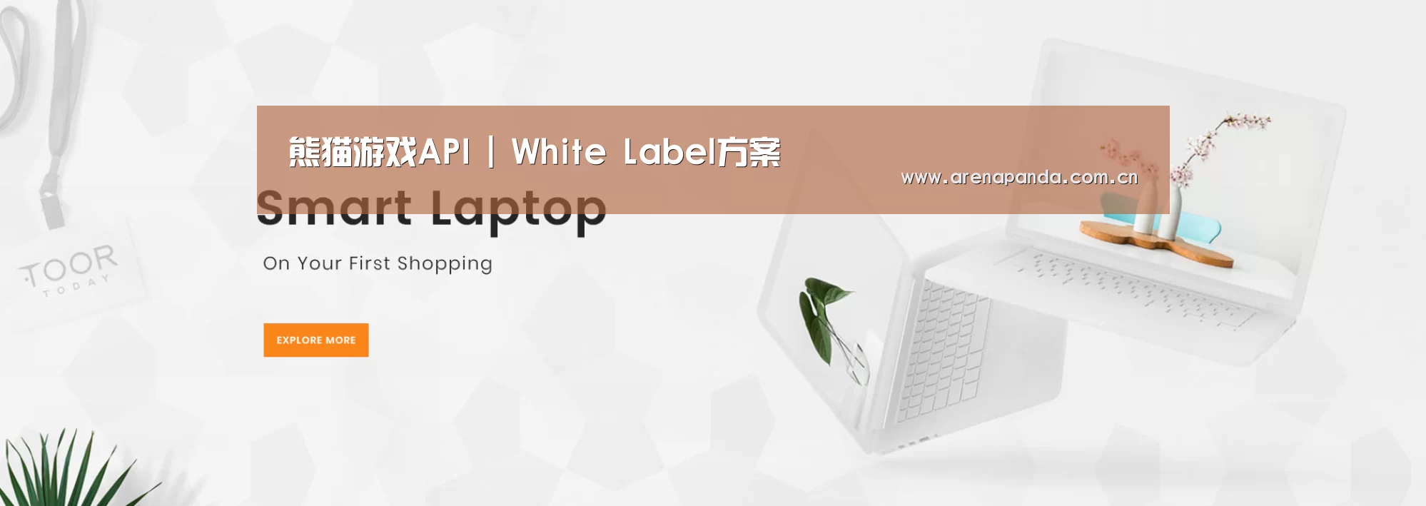 某某网络科技有限公司