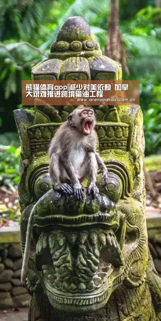 熊猫体育