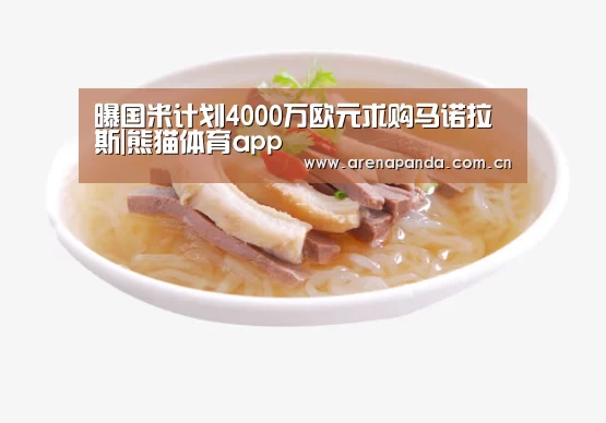 熊猫体育