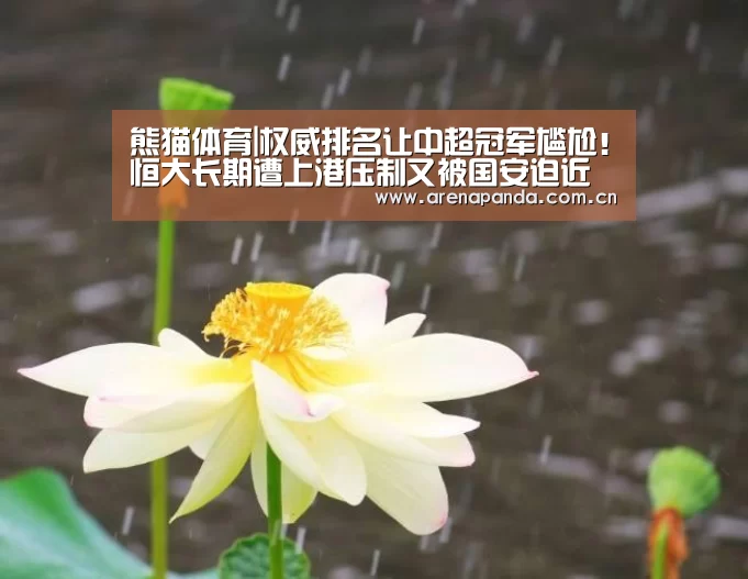 熊猫体育app