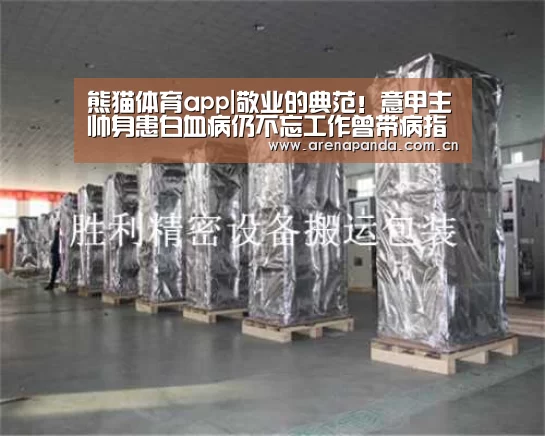 体育API