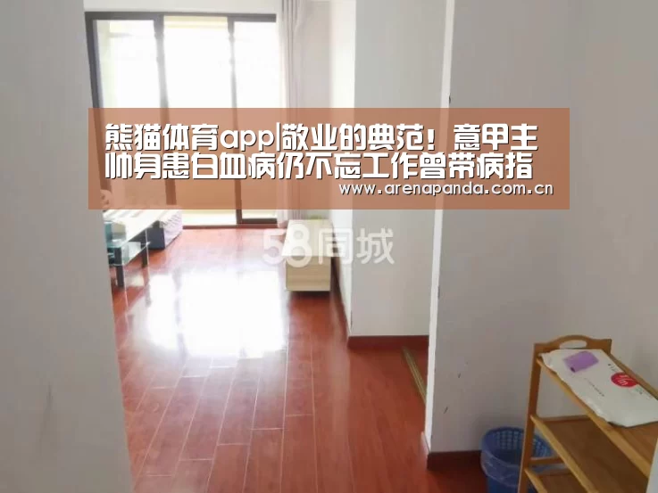 熊猫体育