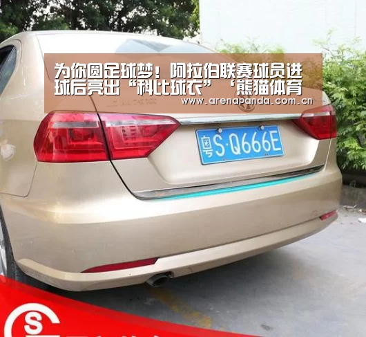 熊猫体育官网