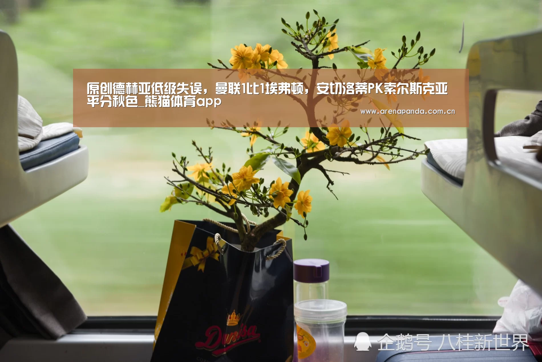 熊猫体育官网