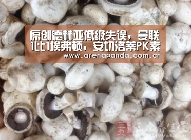 熊猫体育官网